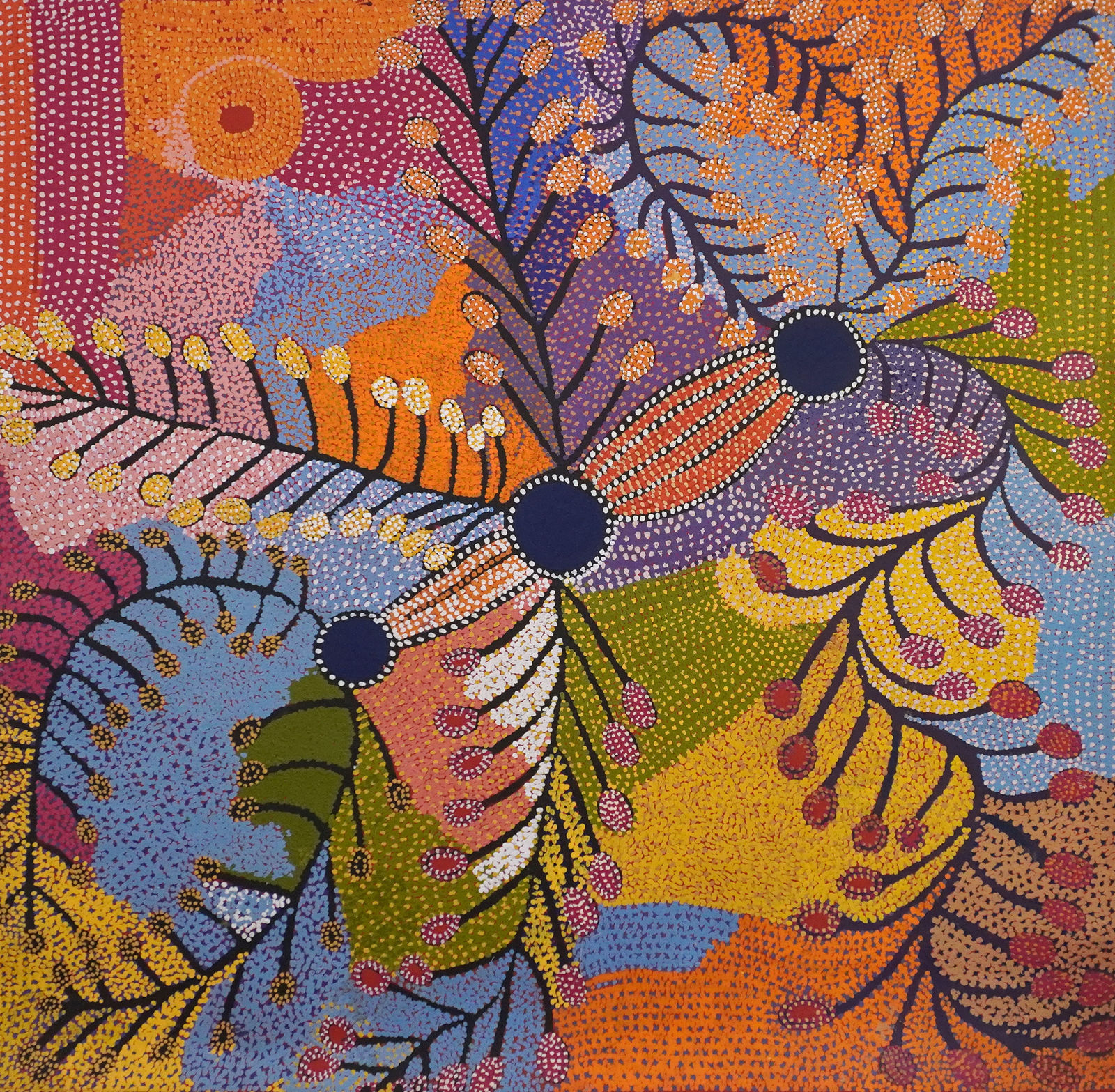 Kunmanara (Ruby) Williamson, Kaliny-kalinypa - Desert Grevillea, 2014