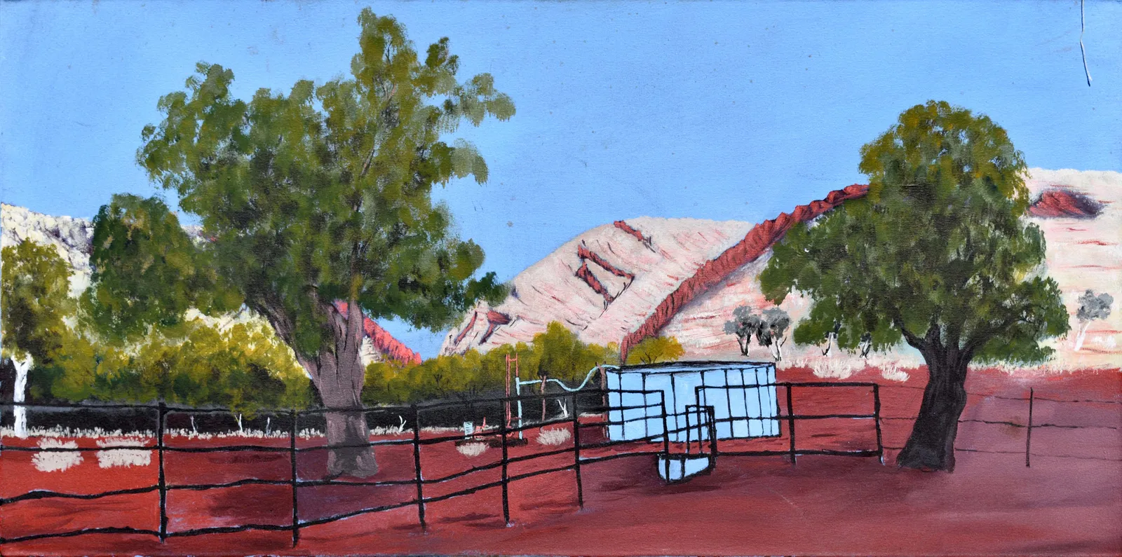 Mervyn Street, Mirrjirloowa Bore- Bullock Bore, 2020