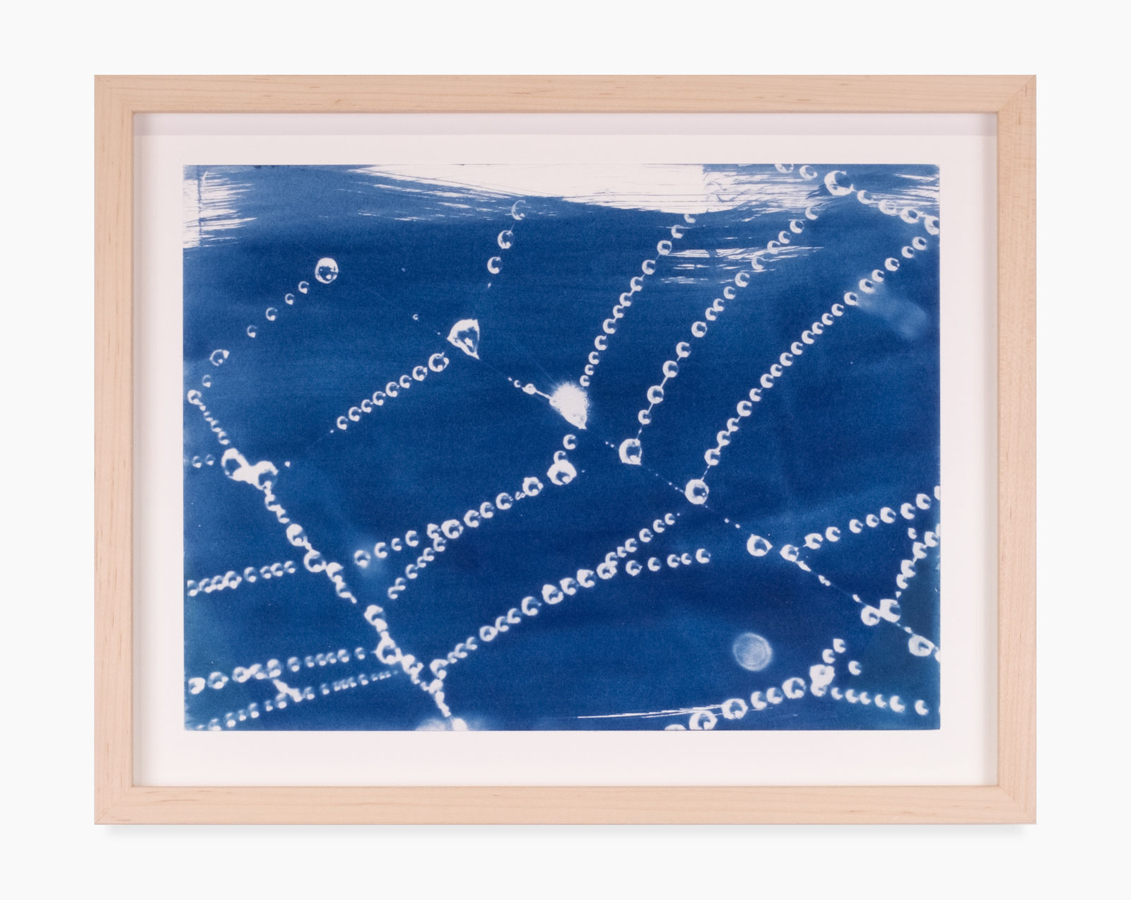 A framed cyanotype by Leah Shirley of a spiderweb covered in dew drops