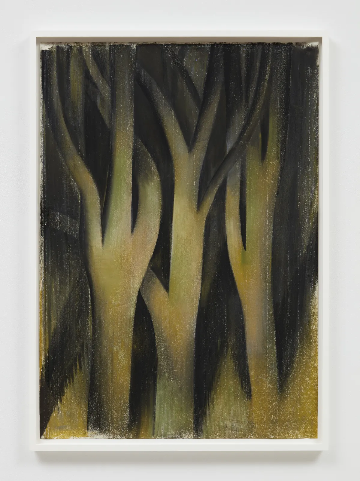 Louis Fratino, Trees in headlights, 2021