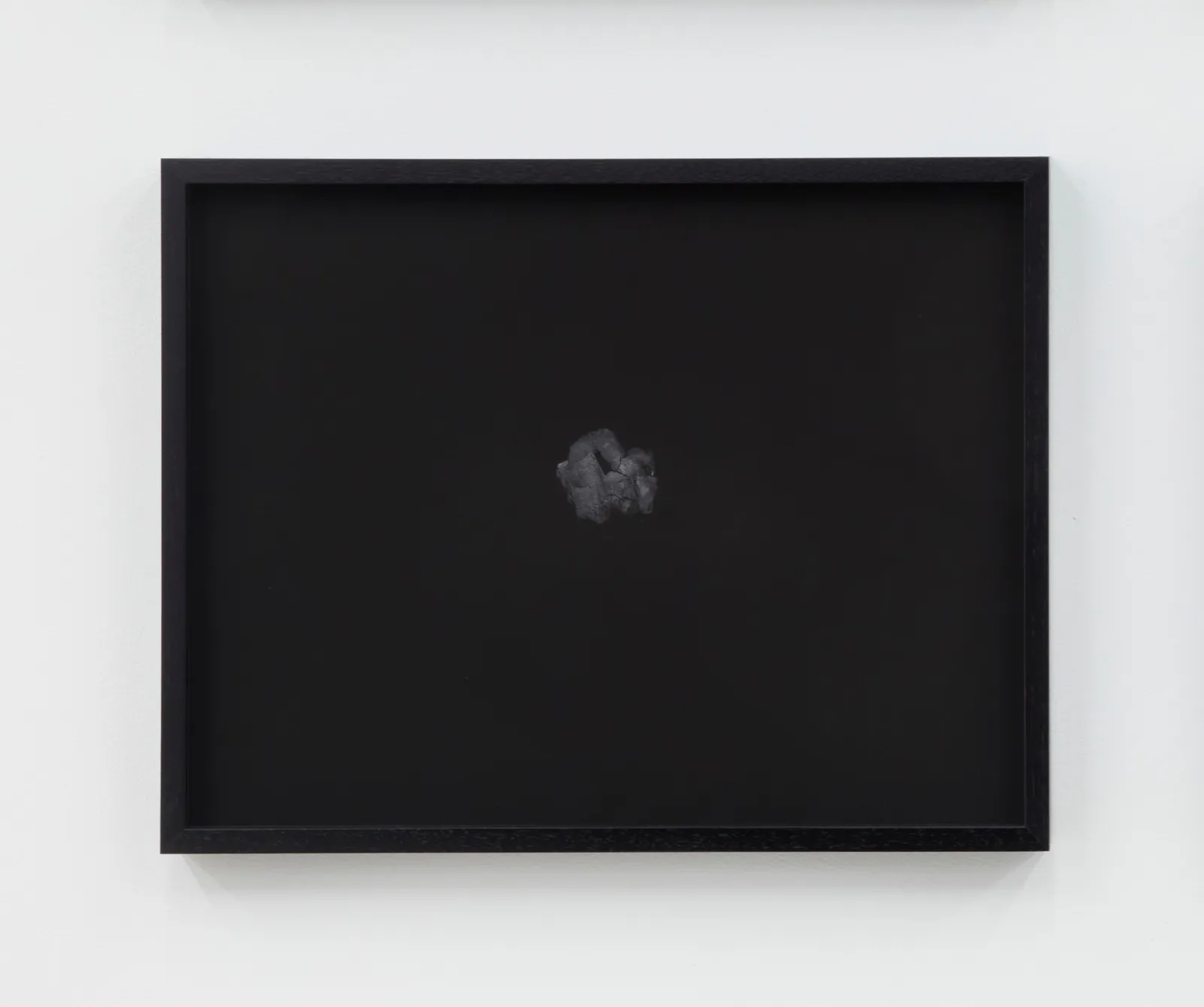 Sofía Córdova, FRUTA PRIETA (carbonerita), 2018/2019