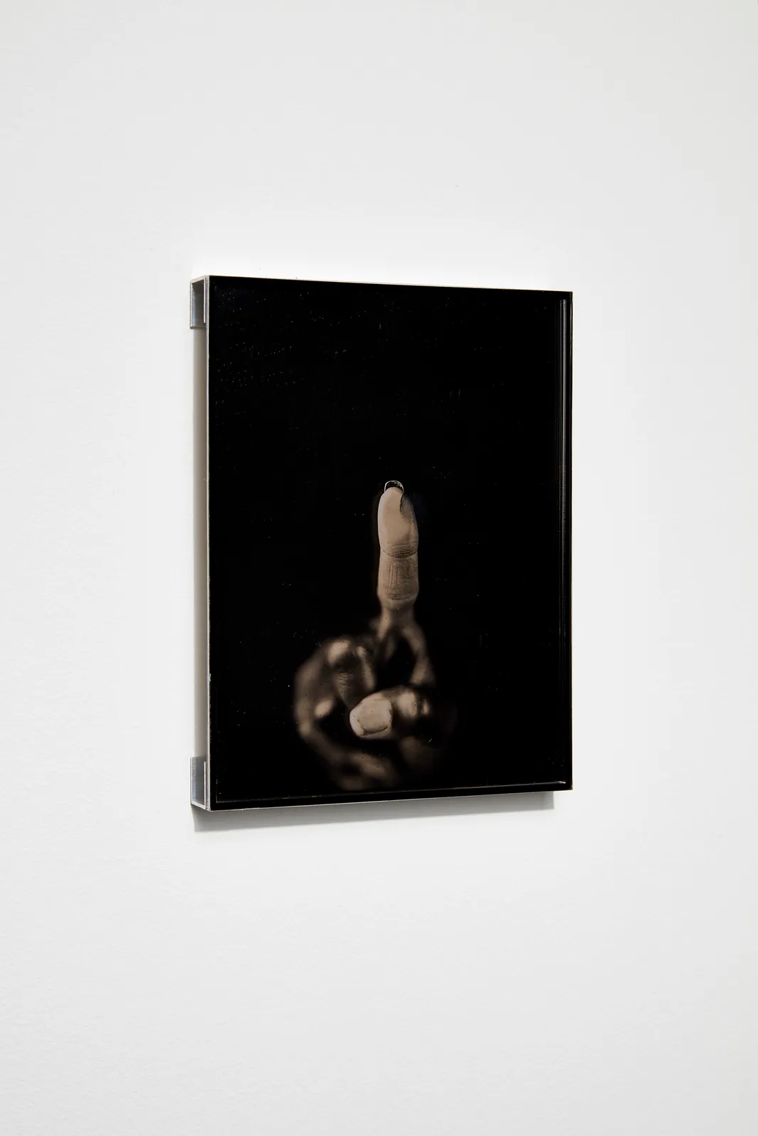 Martin d'Orgeval, Irisha, 2022