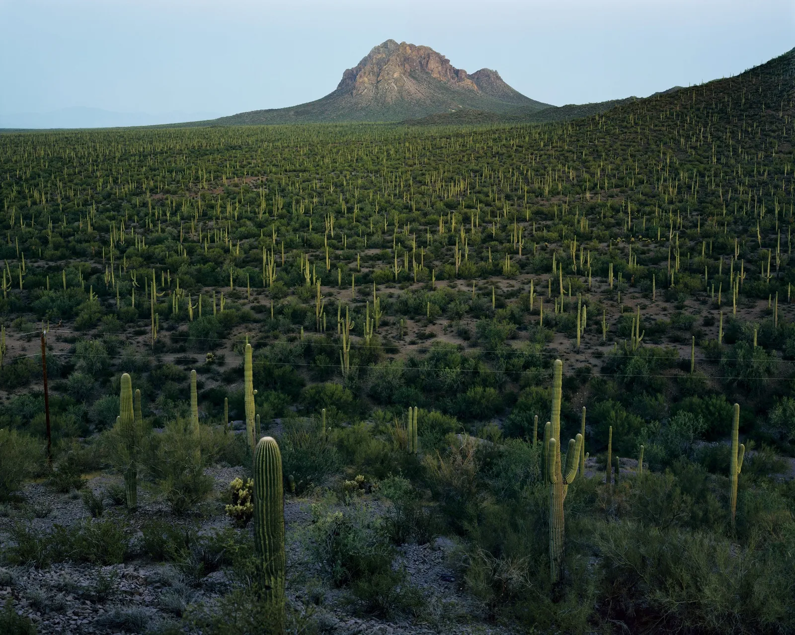 Mitch Epstein, Ironwood Forest National Monument, Arizona 2018, 2018