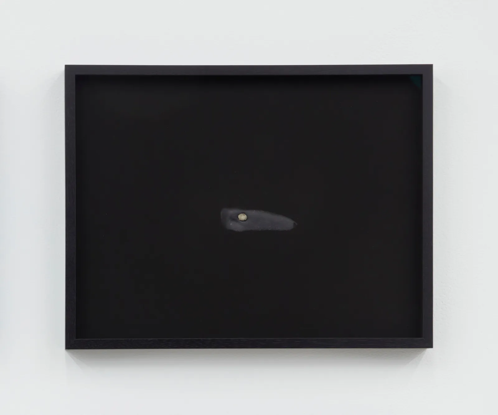 Sofía Córdova, FRUTA PRIETA (pájaro), 2018/2019