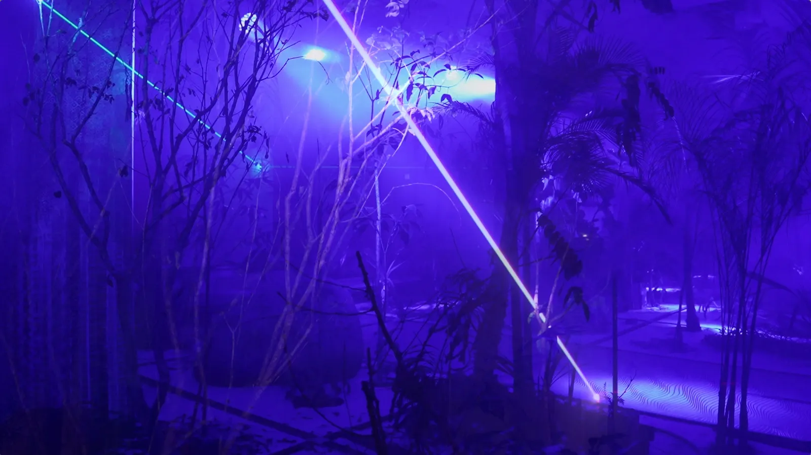 Luiz Zerbini, XAMÃPACURÁ, 2022