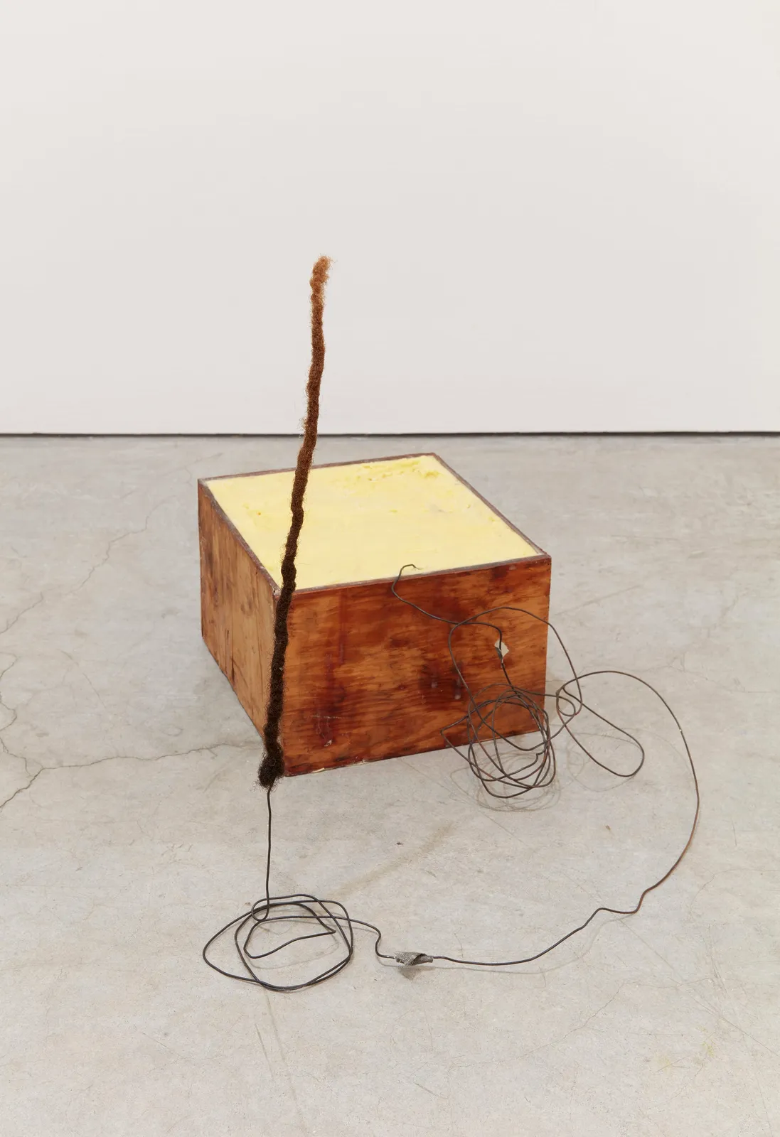 william córdova, cumanana (transfisica de un cajon), 2024