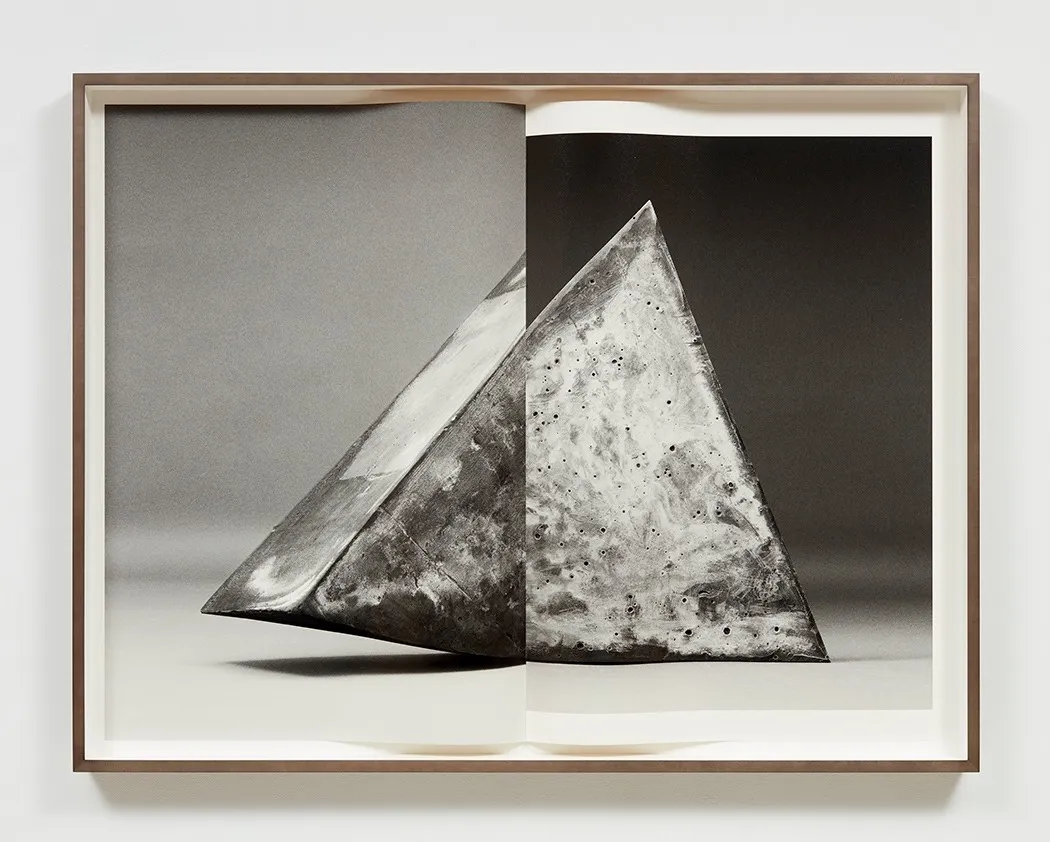 Erin Shirreff, Fig. 9, 2019