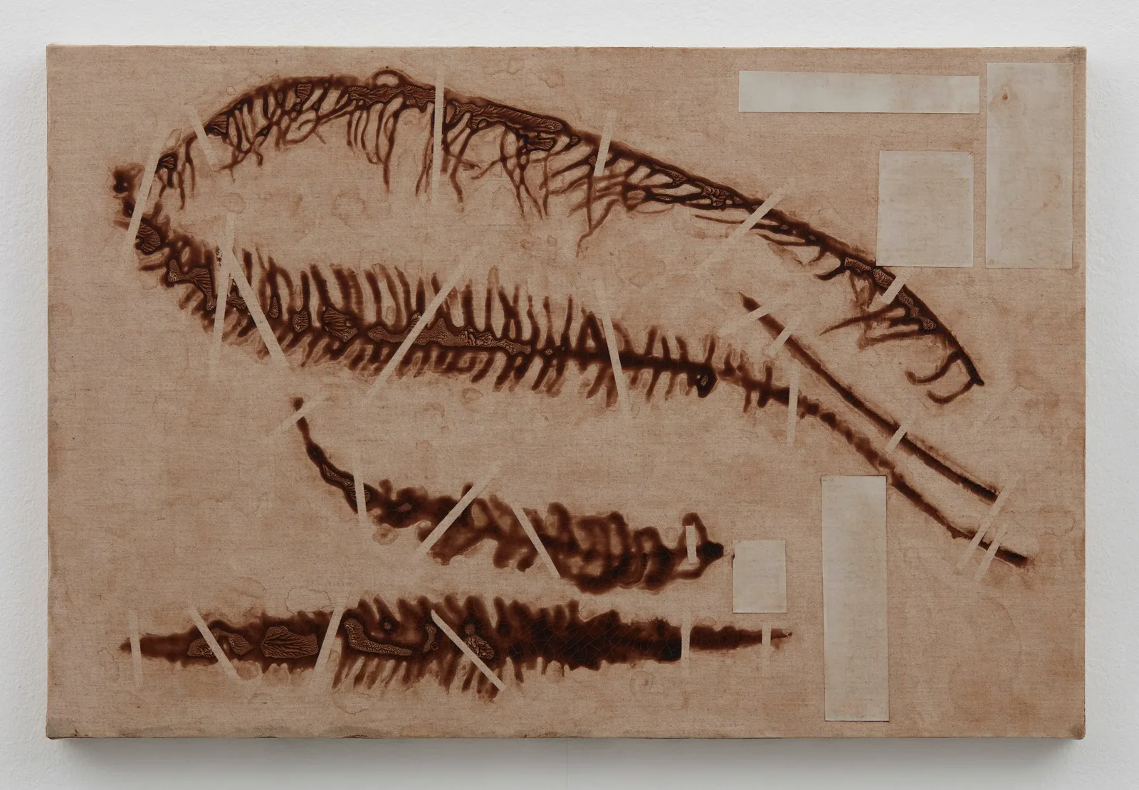 Marc Handelman, Clatsop Territory, January 20, 1806, 2024