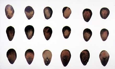 Nicholas May, Untitled, Set IV 3, 1990