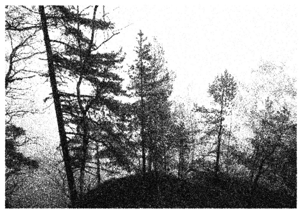 Nikolas Theilgaard, Winterberg 2, 2008