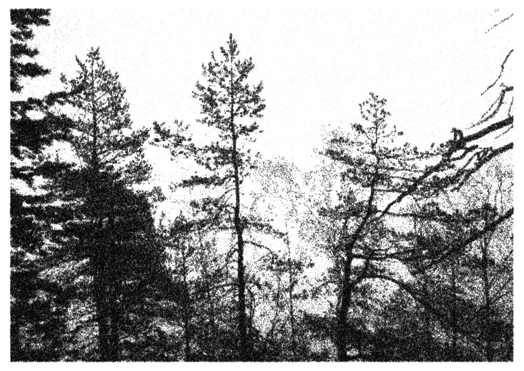 Nikolas Theilgaard, Winterberg 3, 2008