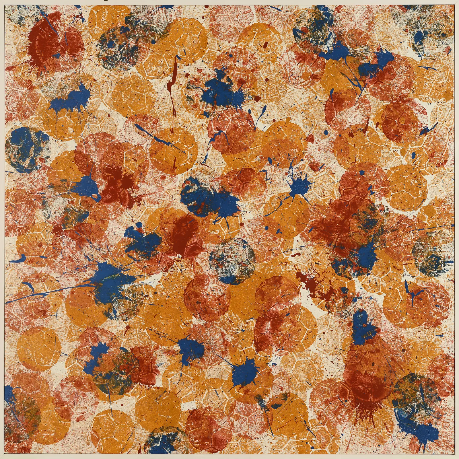 Marco Adamo, Terra Calma, 2024