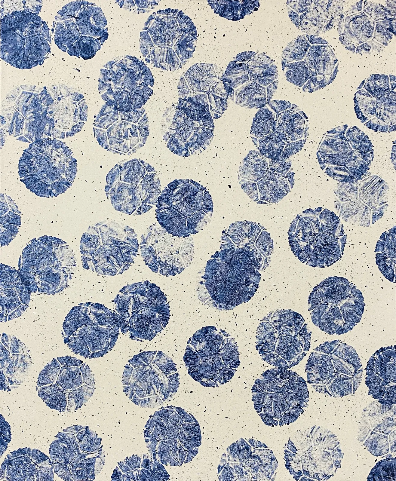 Marco Adamo, 1871, 2025