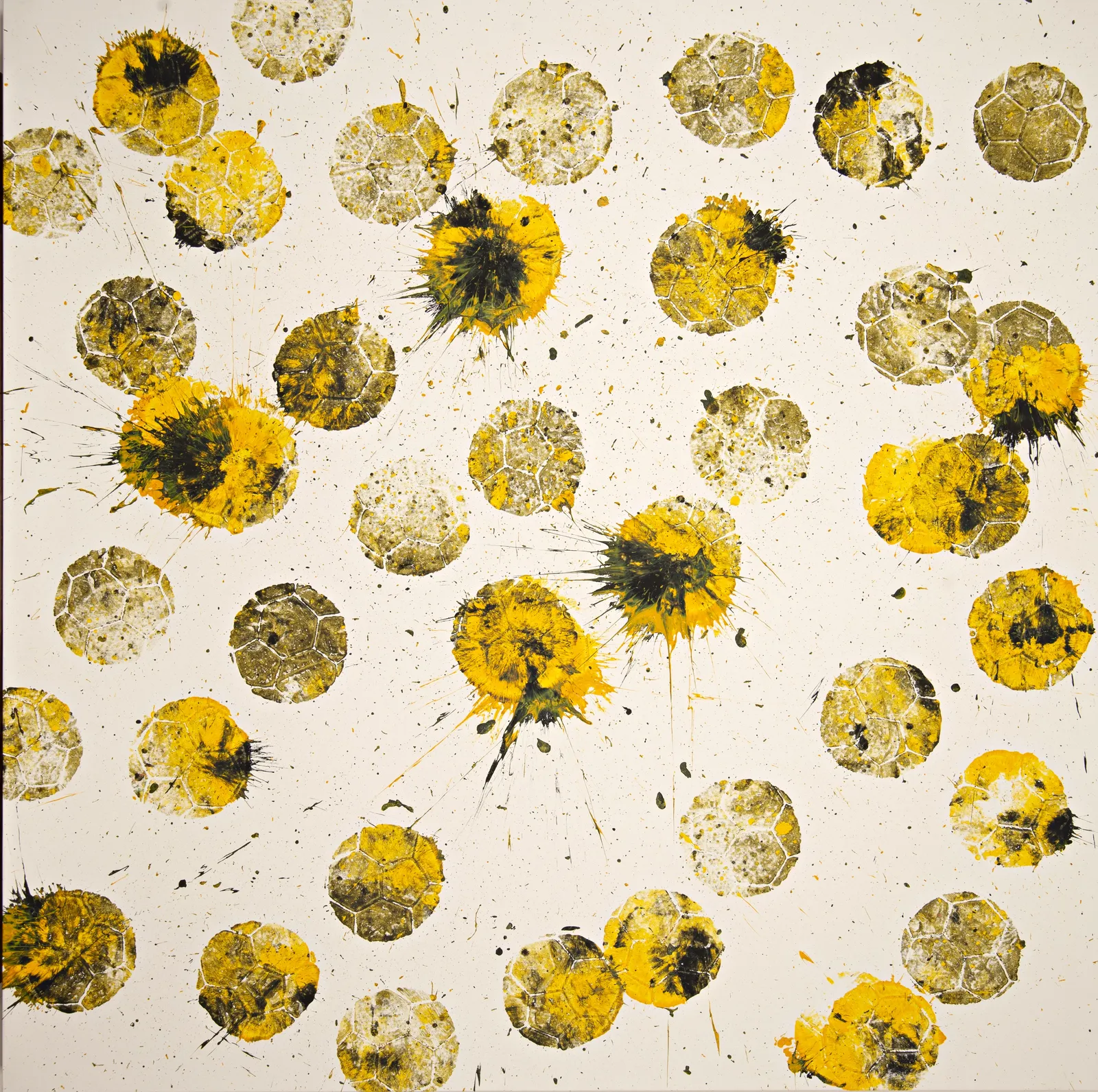 Marco Adamo, BVB, 2024