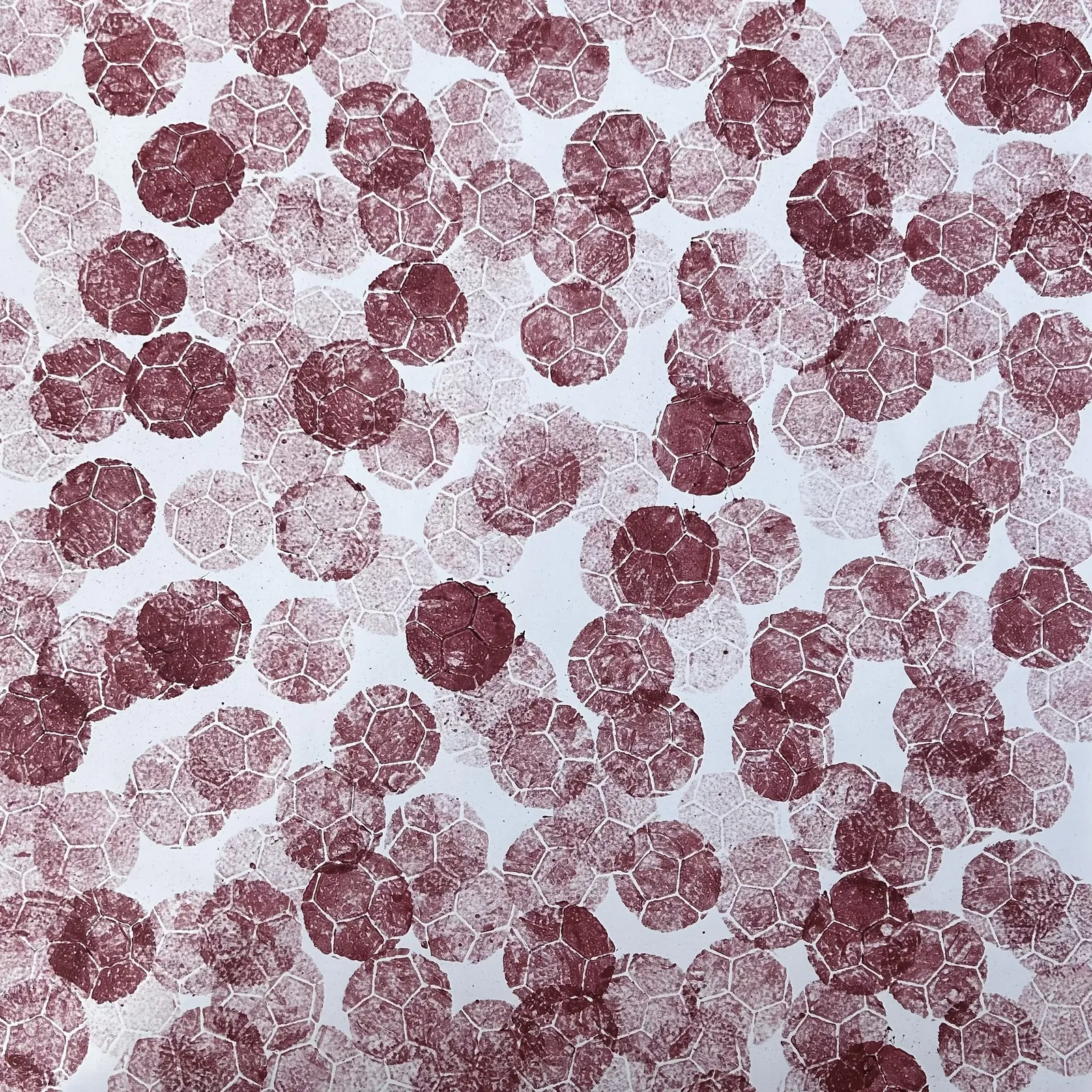 Marco Adamo, L'Arte nel Pallone a Torino G., 2024