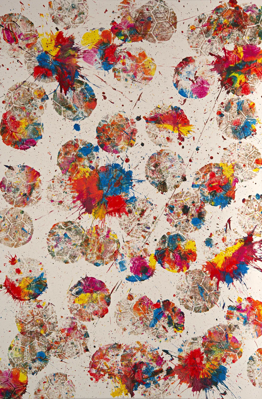 Marco Adamo, Multi, 2024