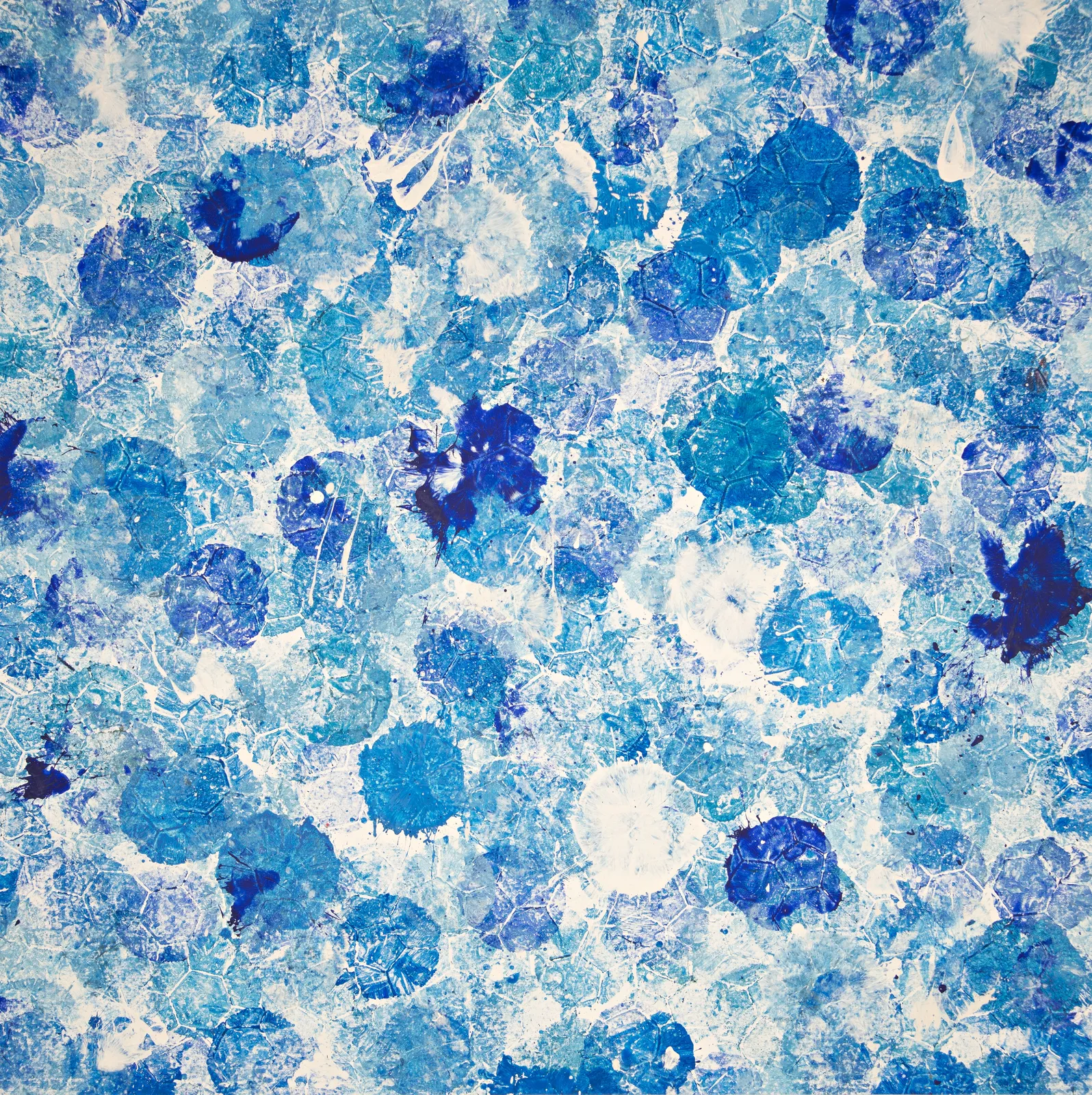 Marco Adamo, Toni Blu, 2024