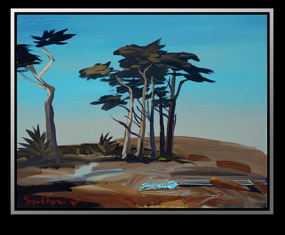 Simon Bull, Point Reyes Cypress, 2022