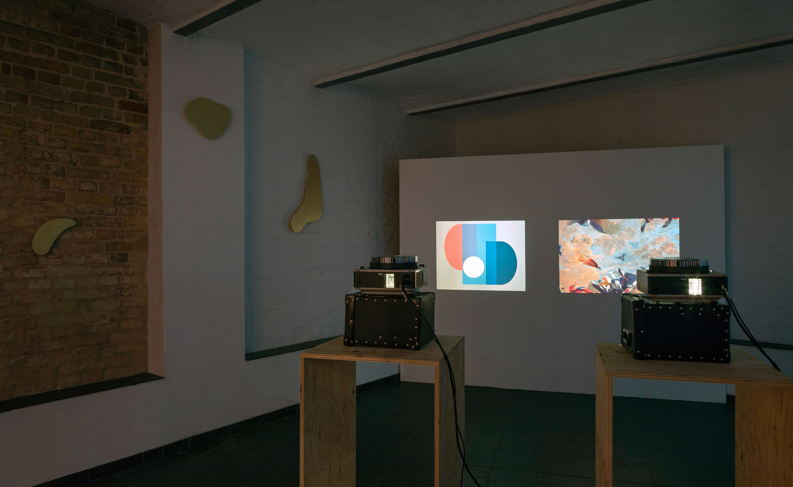 Birds of Paradise (Installation), 2021