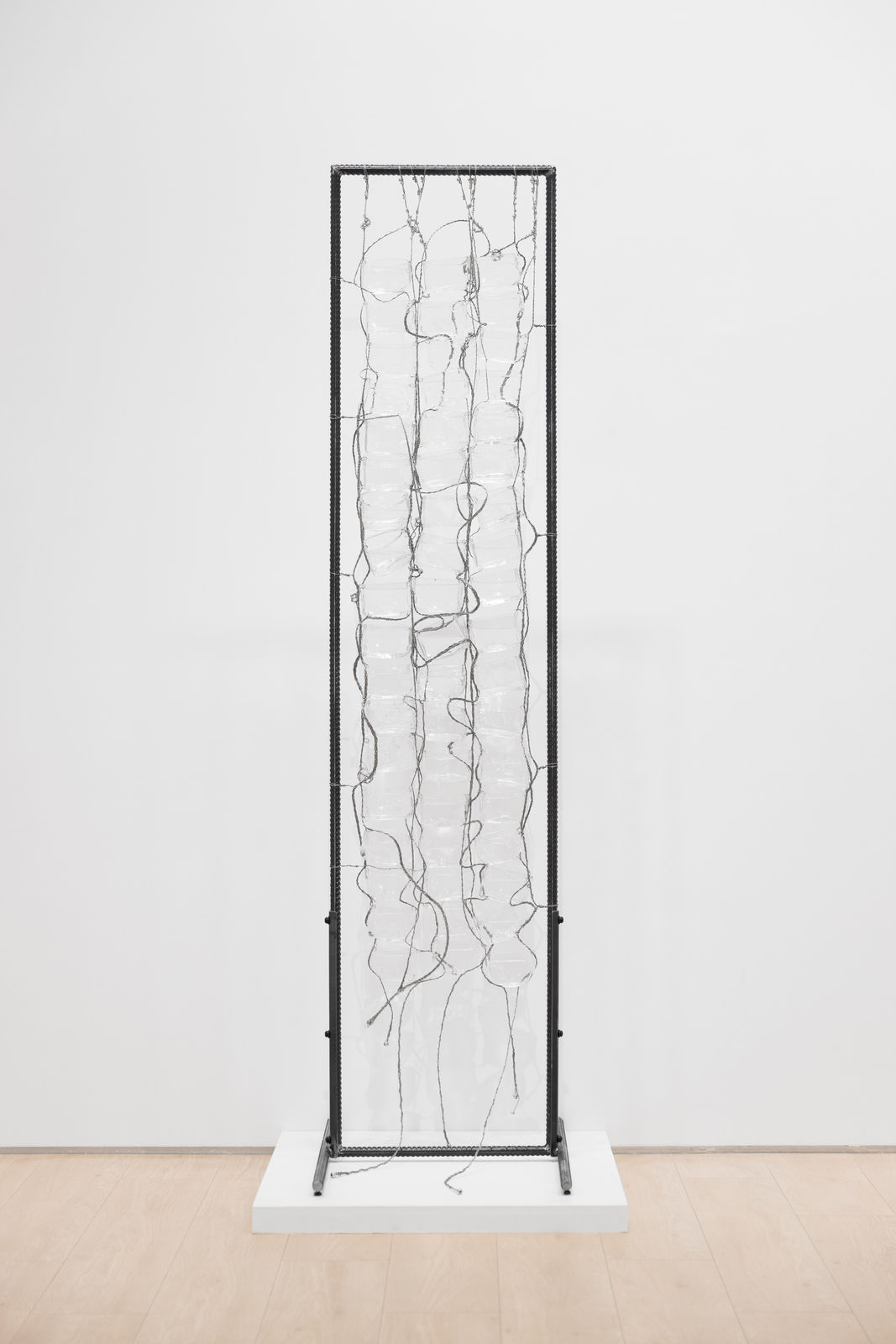 张文怡, 鸟浴 ｜Bird Bath, 2025