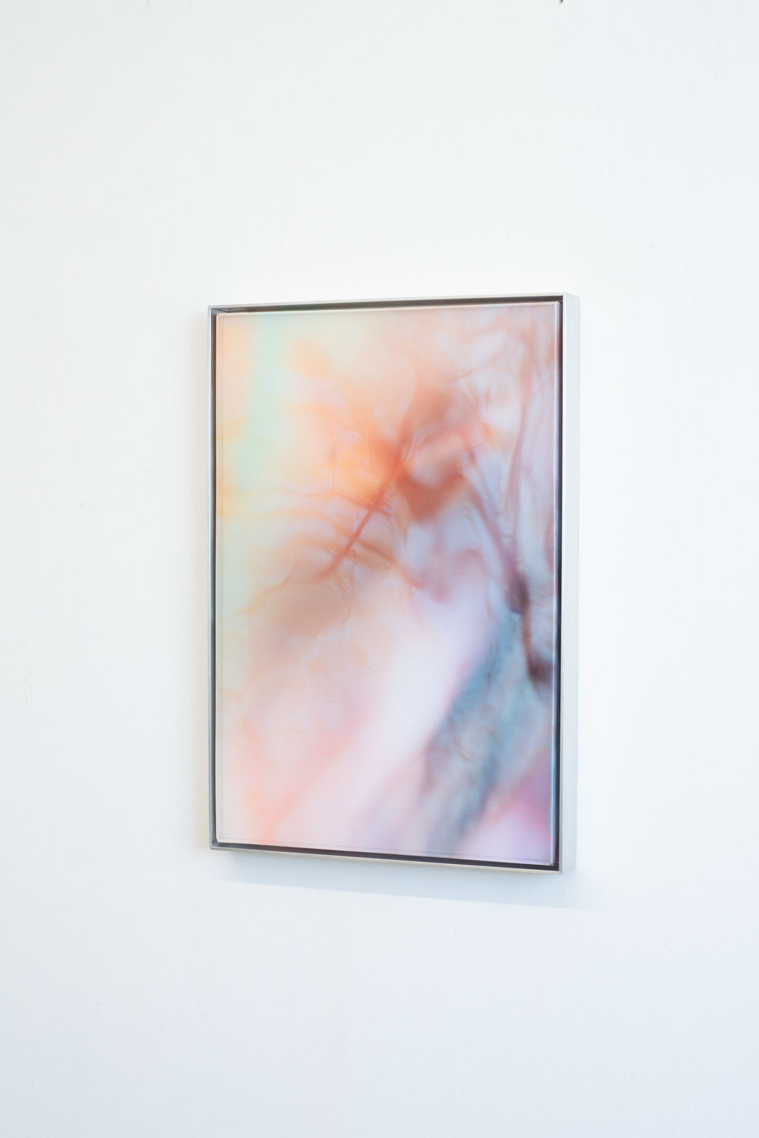 Damaris Athene, _deepcopy.008, 2025