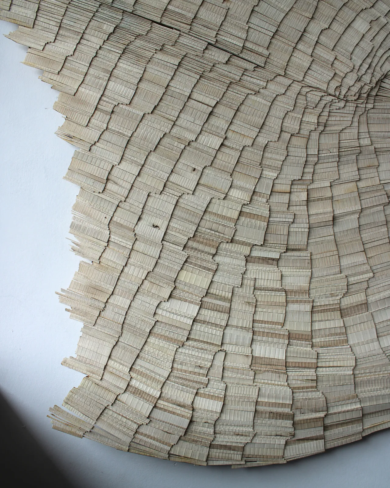 Wycliffe Stutchbury, The Slips 2, 2026