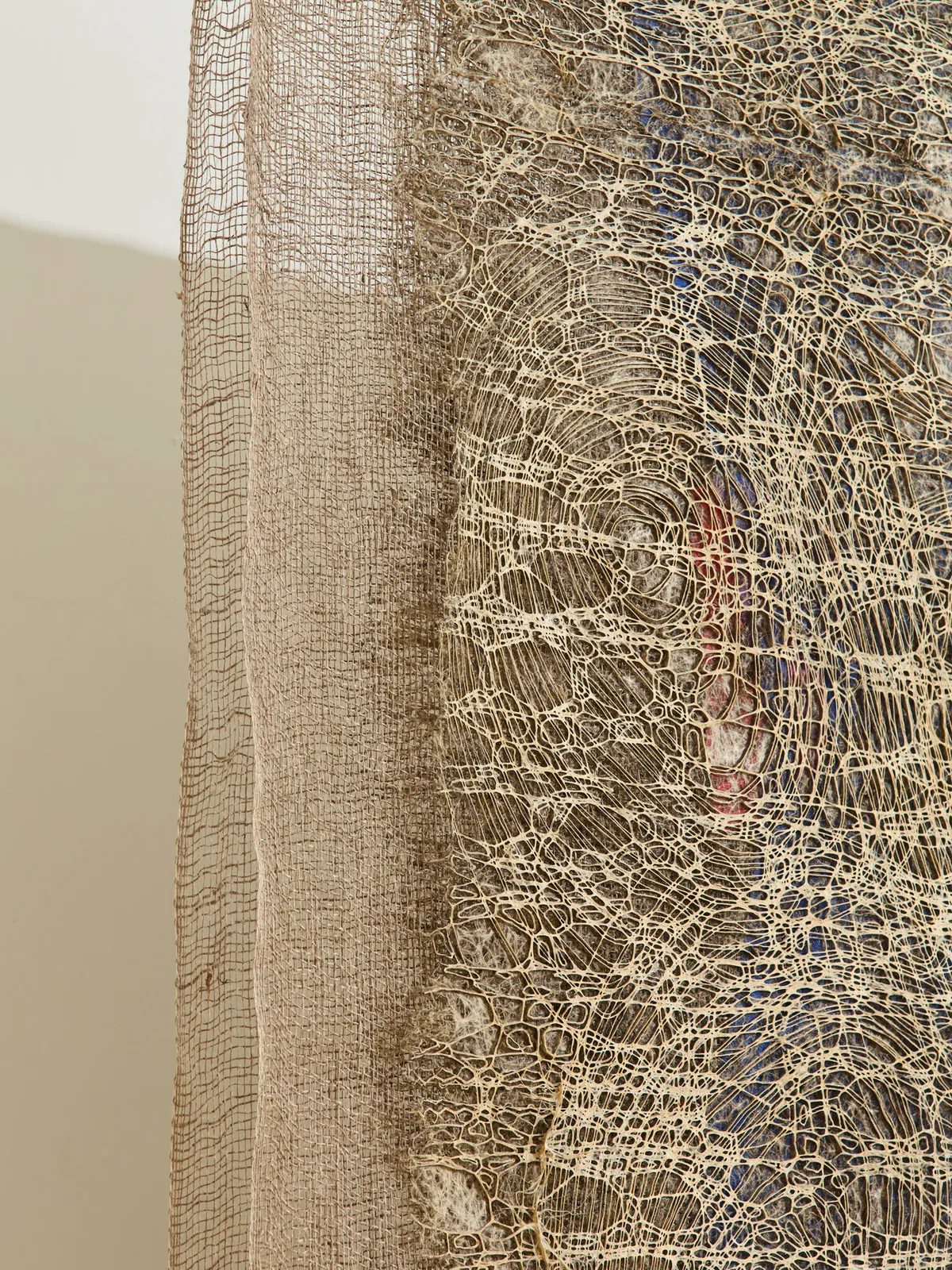 Diana Scherer, Apical #6, 2025