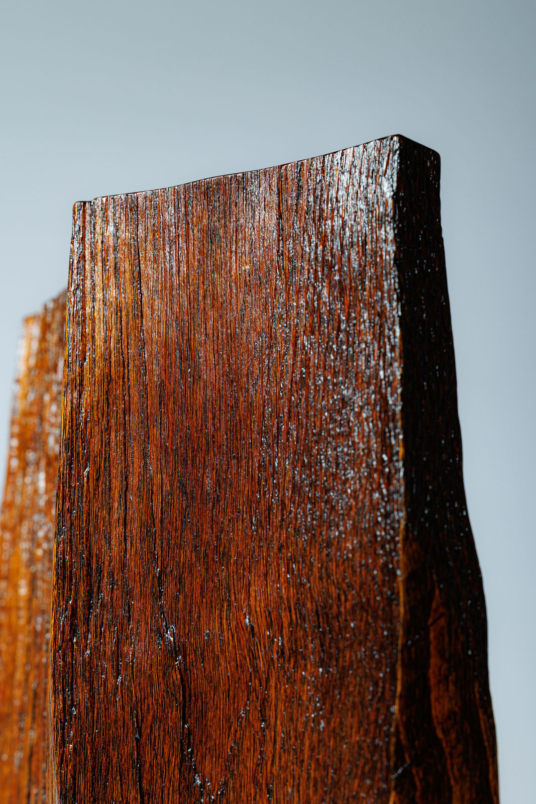 Kenji Honma, WA-RI-KI 2504, 2025