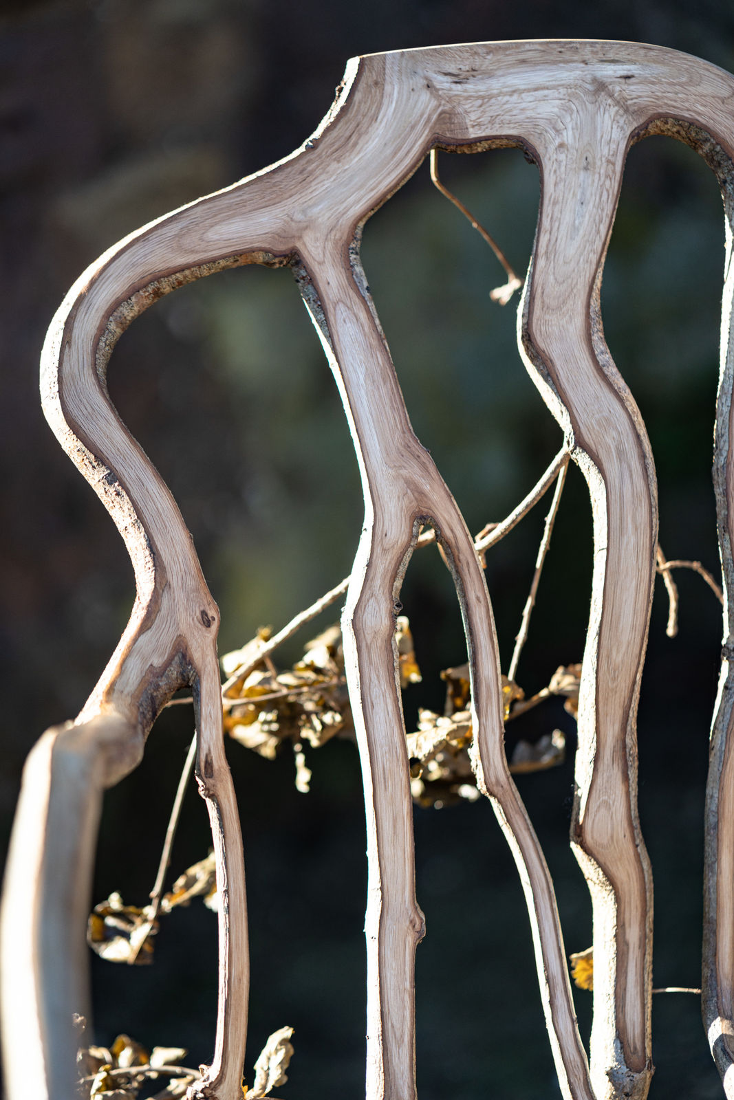 Full Grown, The Daphne Chair, 2024