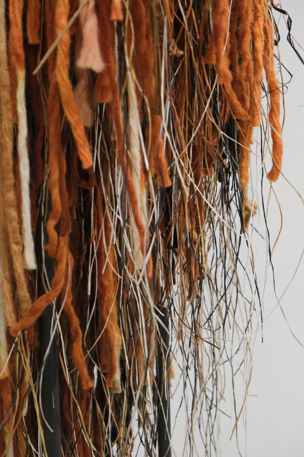 Teresa Hastings, Shakti, 2025