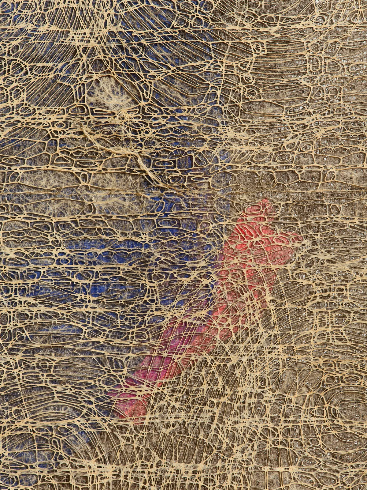 Diana Scherer, Apical #6, 2025