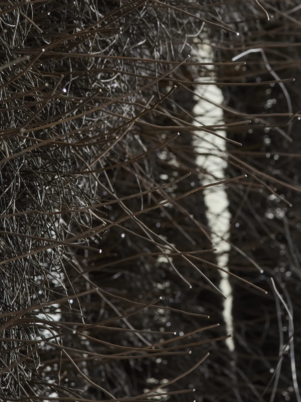 Teresa Hastings, Two Sides, 2025