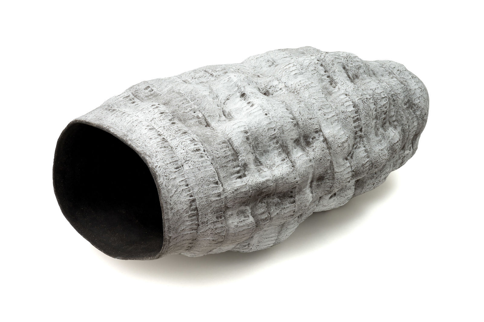 Janet Ann Lines, Unknown 12, 2023