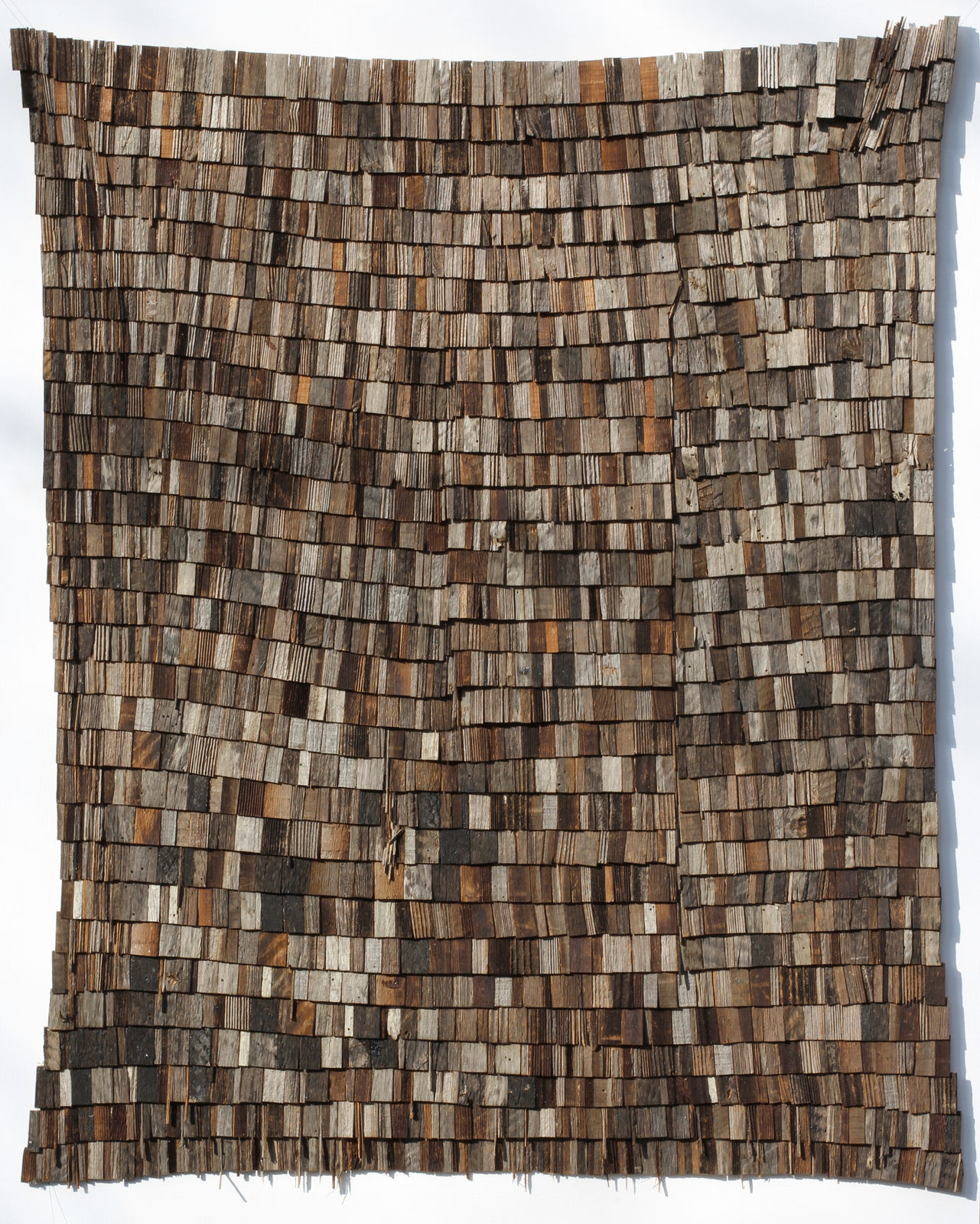 Wycliffe Stutchbury, The Rodd 2, 2020