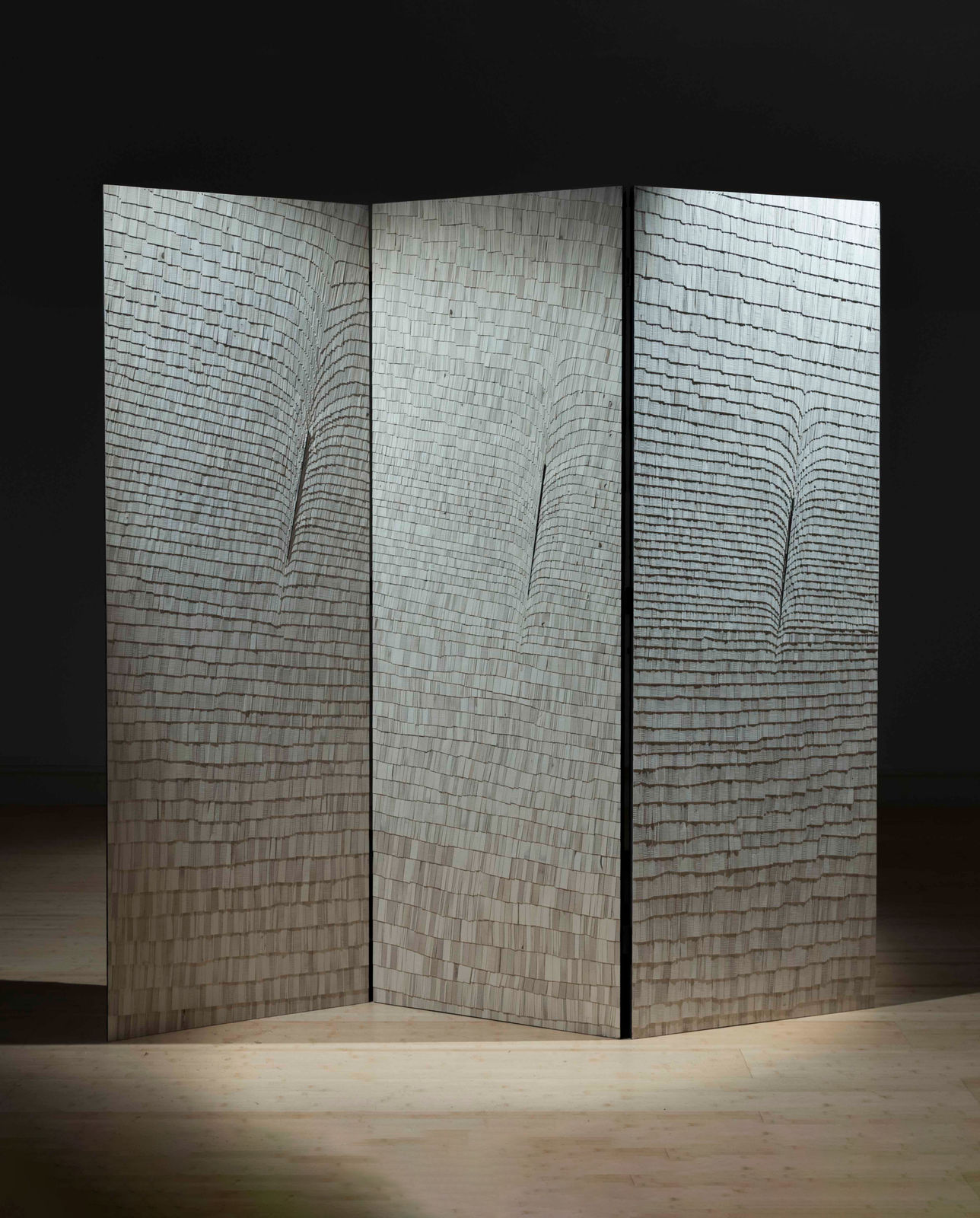 Wycliffe Stutchbury, Hundred Foot Drain/Annie’s Wood 2, 2018