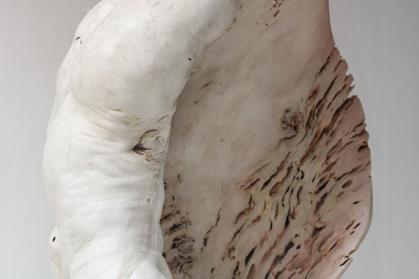 Julian Watts, Shell, 2022