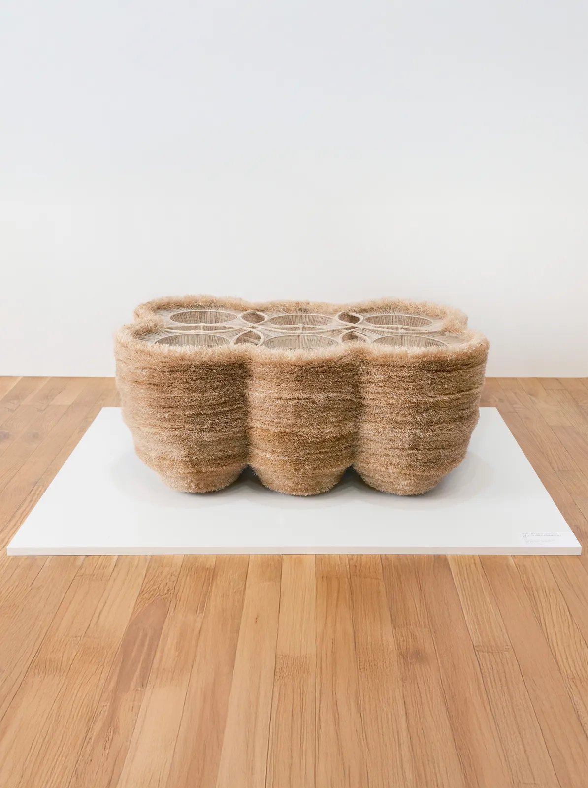 Wanbing Huang, Ying Xu - The Waxing and Waning II, 2024