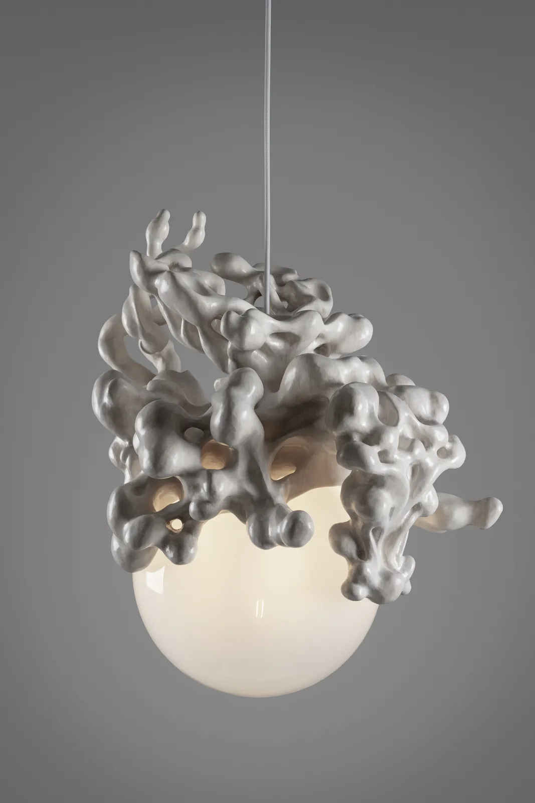 Tadeáš Podracký, The Bloom of Bones Light in White, 2024