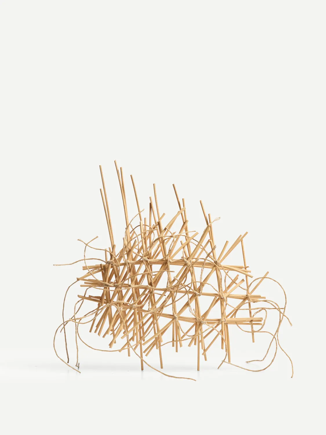 Ann Coddington, Constellation, Set II, 2025