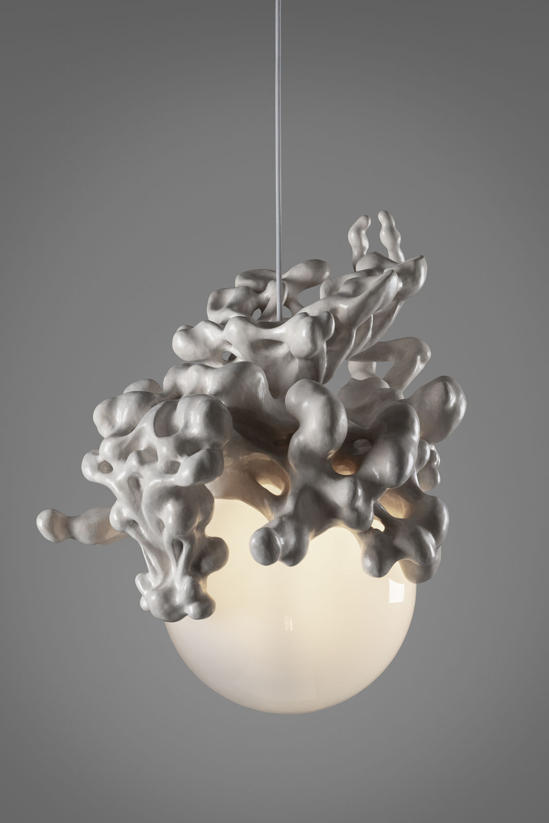 Tadeáš Podracký, The Bloom of Bones Light in White, 2024