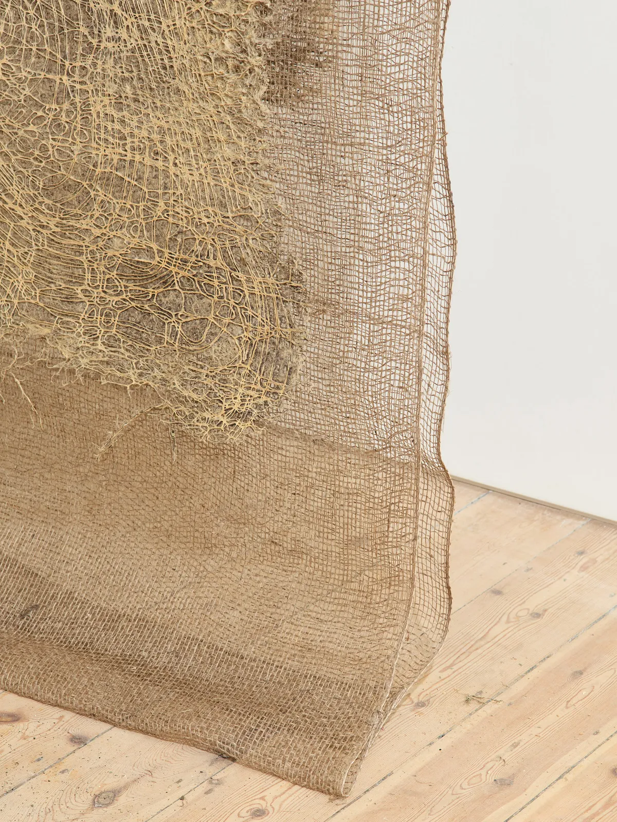 Diana Scherer, Apical #6, 2025