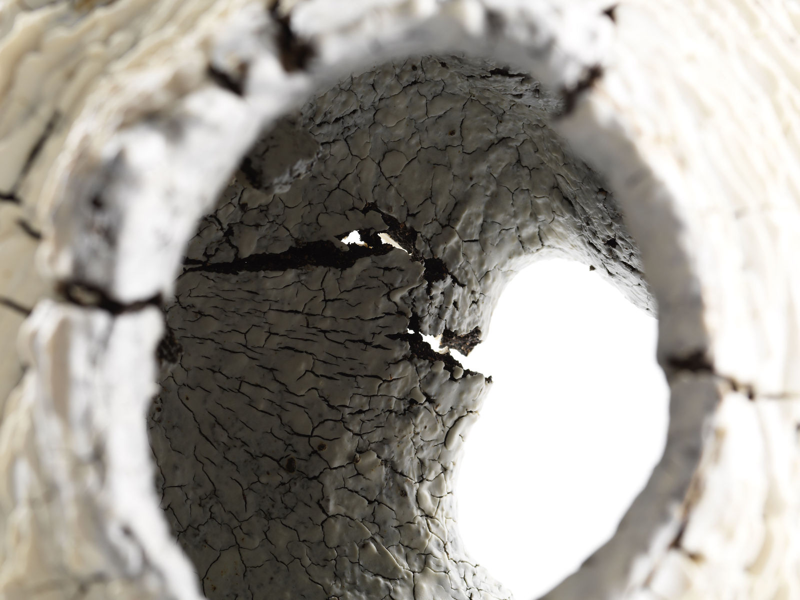 Luke Fuller, Xeric II, 2023