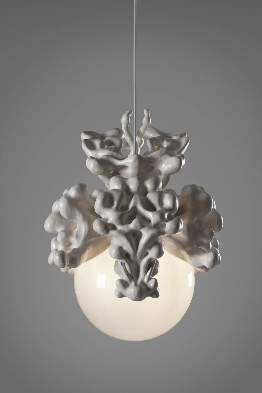 Tadeáš Podracký, The Bloom of Bones Light in White, 2024