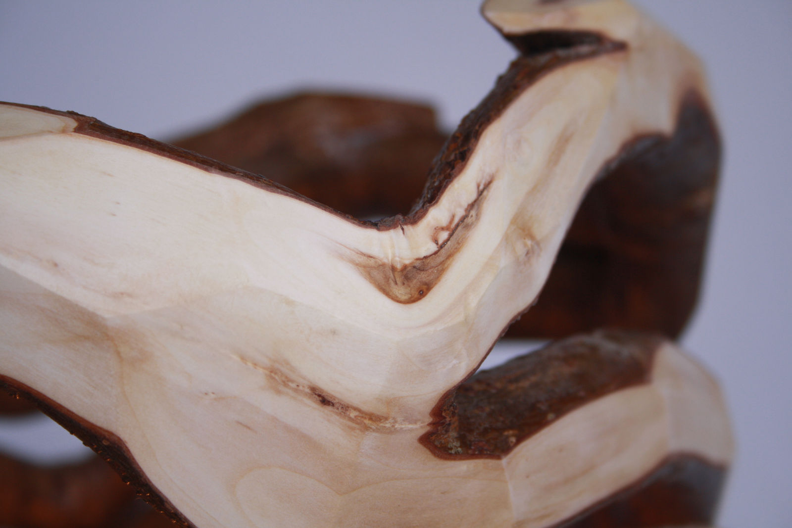 Full Grown, Lumsdale table lamp, 2019