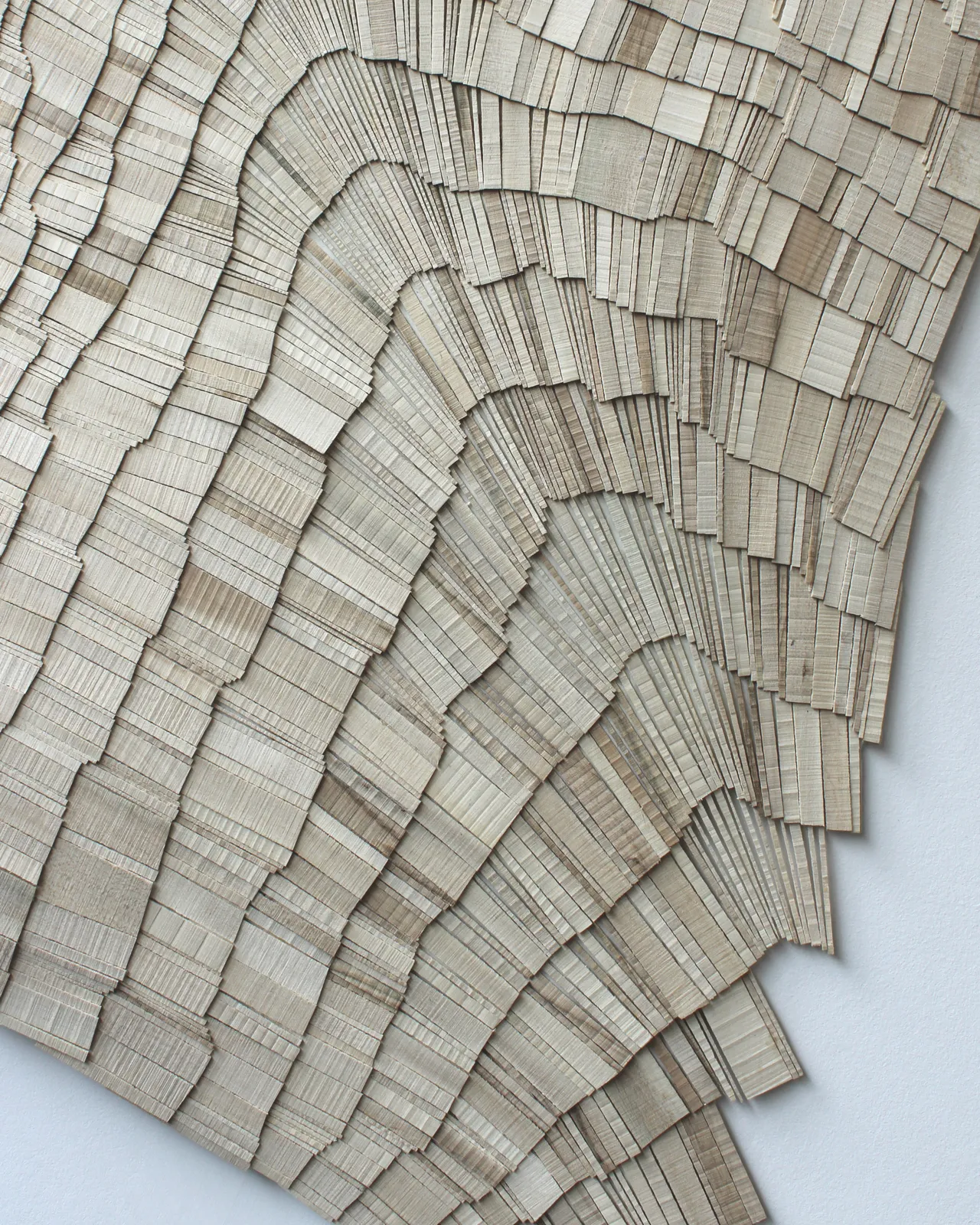 Wycliffe Stutchbury, The Slips 2, 2026