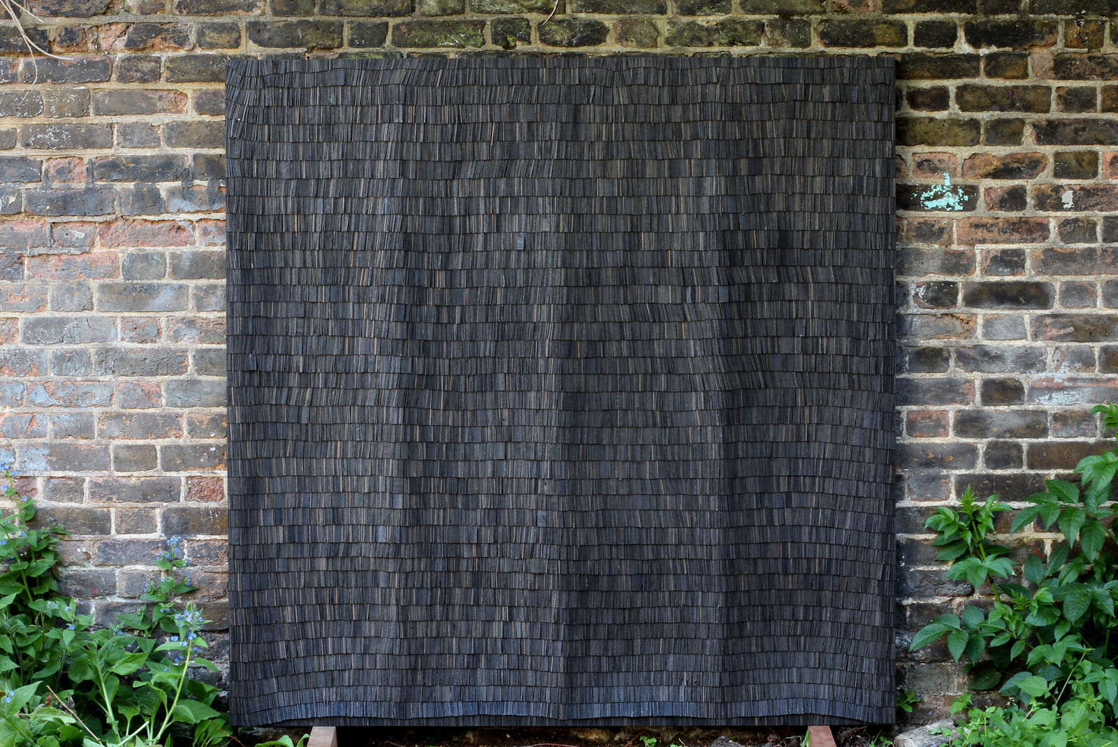 Wycliffe Stutchbury, Hundred Foot Drain 10, 2020