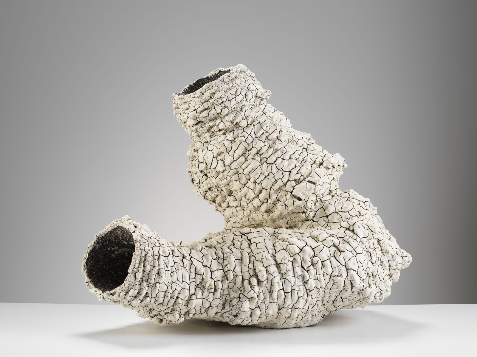 Luke Fuller, Xeric, 2021