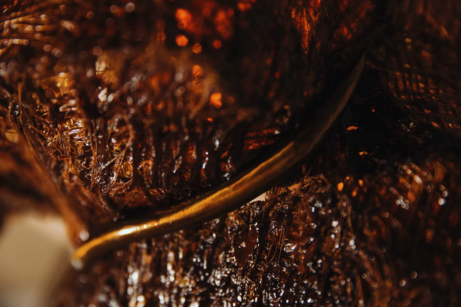 Ori Orisun Merhav, Desert Insect, Sunrise Light I, 2026