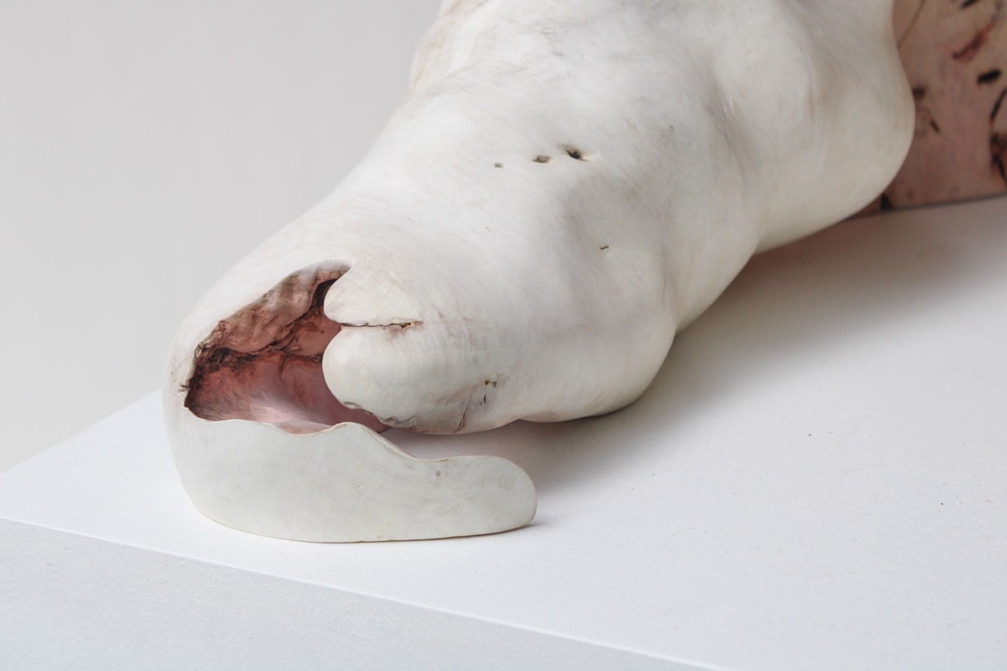 Julian Watts, Shell, 2022