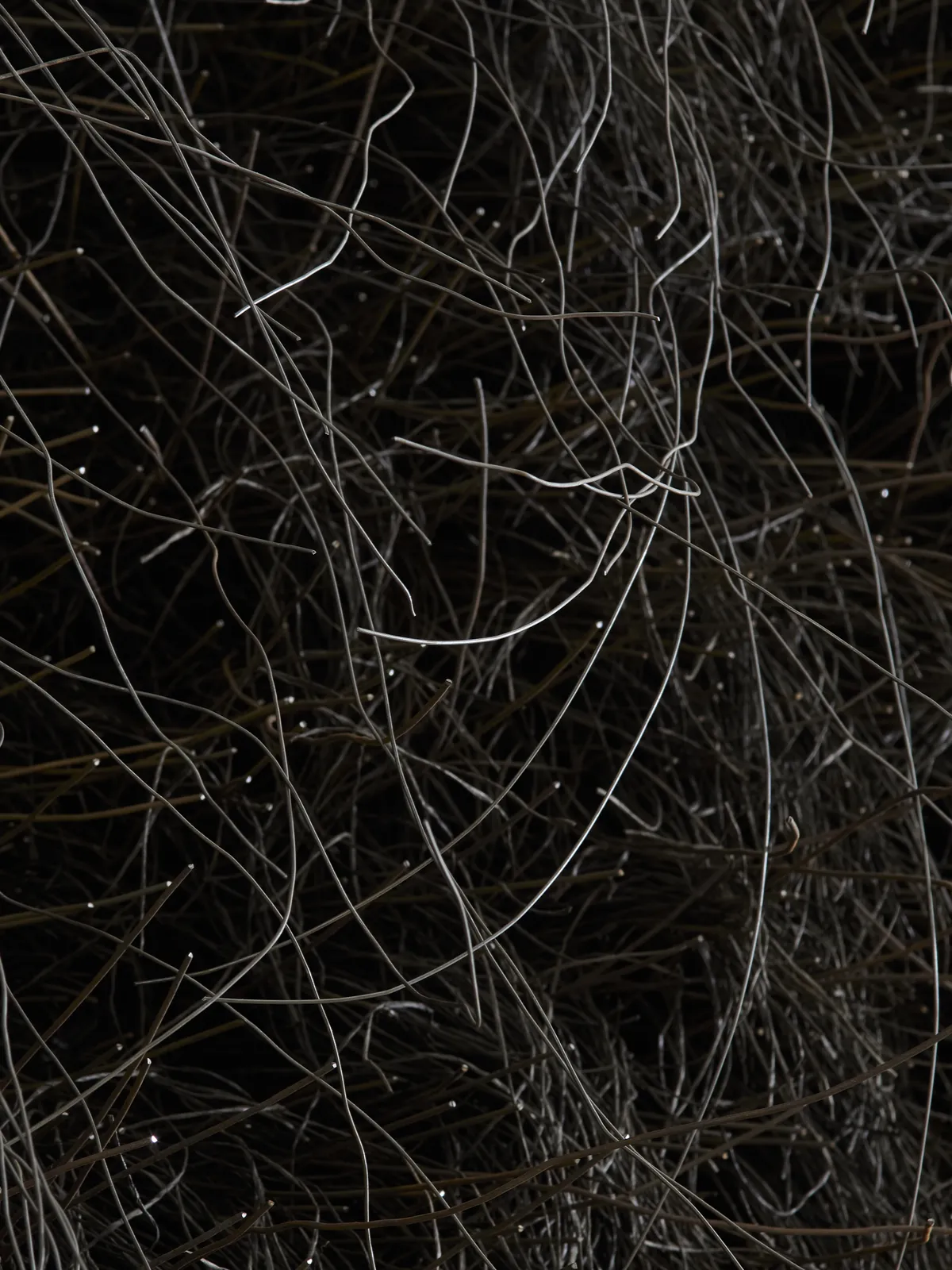 Teresa Hastings, Two Sides, 2025